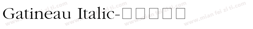 Gatineau Italic字体转换